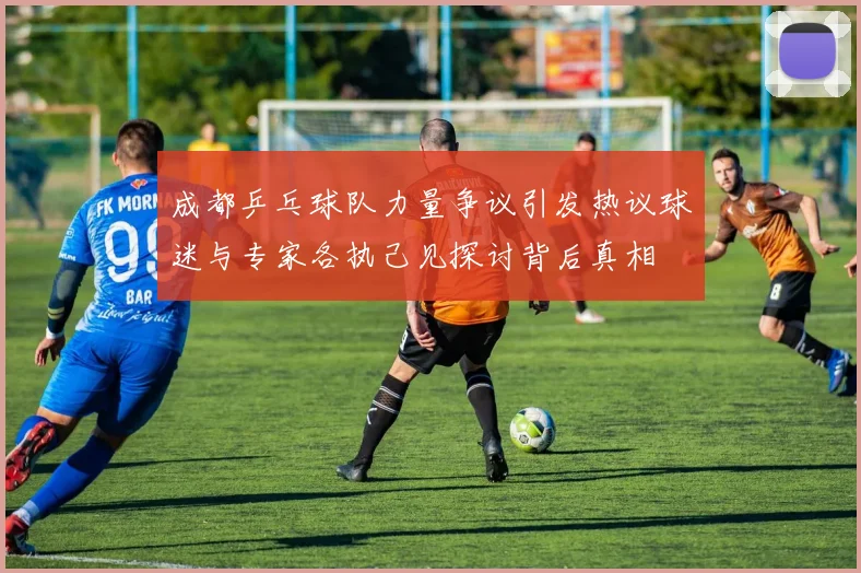 成都乒乓球队力量争议引发热议球迷与专家各执己见探讨背后真相